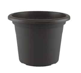 CILINDRO BLACK POT